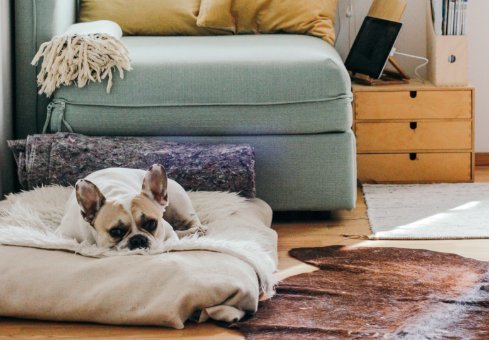 Ik verkoop mijn woonst